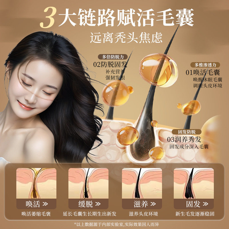 Weicui Anti-Dandruff Shampoo, Platycladus Orientalis Herbal Anti-Hair Loss and Hair-Fixing Shampoo, Household Shampoo