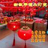 Lantern Festival Satchel Projection Lantern Lantern Crystal Red Lantern Luminous Toy Kidsren's Decoration Spring Festival Stall Small Commodities