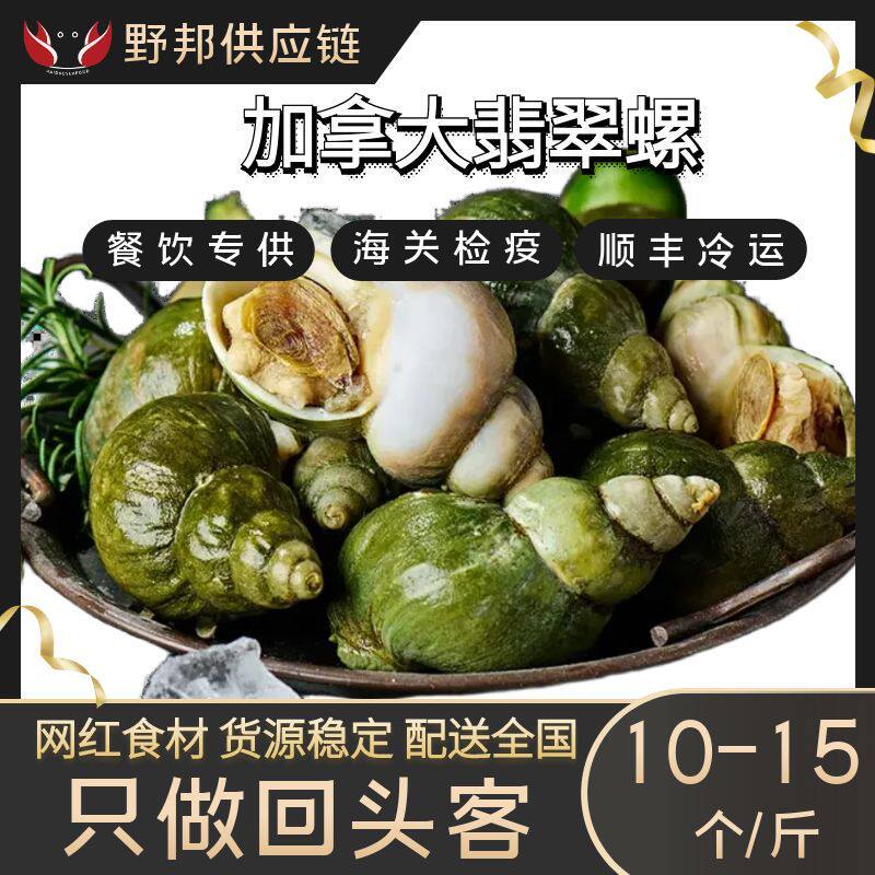 Canadian Jade Snail Conch Seafood Water Produced and Produced Meal Aid Sashimi Hot Pot Bbq Ingredients Wholesale Wild