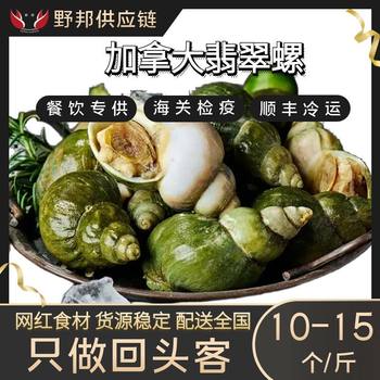 Canadian Jade Snail Conch Seafood Water Produced and Produced Meal Aid Sashimi Hot Pot Bbq Ingredients Wholesale Wild