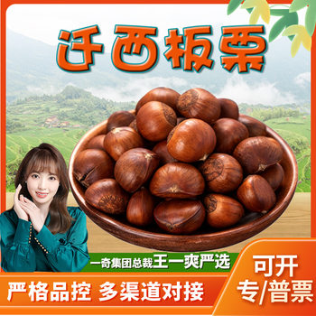 [Strictly Selected] Hebei Qianxi Chestnuts 1/ 1.5kg Powdered Glutinous Sweet Oil Chestnuts Fresh Vegetable Chestnuts