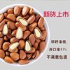 Northeast Open Pine Nuts New Arrival Large Particles Northeast Specialty Red Pine Nuts Nut Snacks Manufacturer Wholesale