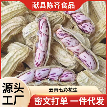 New Yunnan Colorful Peanuts Specialty Shelled Peanuts Washed Wild Fresh Raw Colorful Peanuts Wholesale