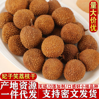 Feizixiao Dried Lychee with Small Pits, Thick Flesh, Thin Shell, 2025 New Arrival Dried Fruit, Specialty from Gaoshou, Guangdong, Shipped from Maoming