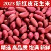 Red-Skinned Peanuts, Raw Peanuts, Farm-Produced Peanuts, New Arrivals for the Year, Four Pieces of Self-Produced Small Peanuts, Wholesale New