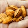 Almonds in Bags, Net Weight 500g, Dried Almond Nuts, Bulk Snacks, Gift Pack, Wholesale, Good Quality, Large Kernels