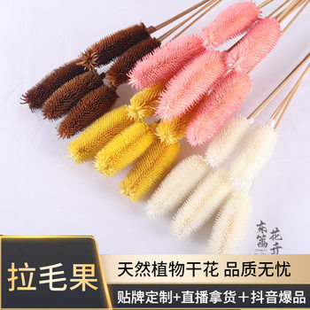 Lapingguo Dried Flower Flower Arrange Decorative Ornaments Soft Suit Longevity Fruit Thistle Fruit Home Living Room Photo Props Flower Arrange Ornaments