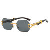 Cross-Border Leopard Head Frameless Polygonal Irregular Sunglasses European and American Cut-Edge Sunglasses Internet Celebrity Street Photography Sunglasses