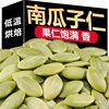 New Pumpkin Seeds 500g Bagged Original Flavor Raw and Roasted Pumpkin Seeds Baking Nuts Snacks Large Kernels