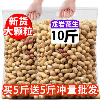 Fujian Longyan Peanut and Garlic Flavor Flagship Store Wet Roasted Water Boiled Salty Dry with Shells and Five Spices White Sun-flavored Rice Vegetables