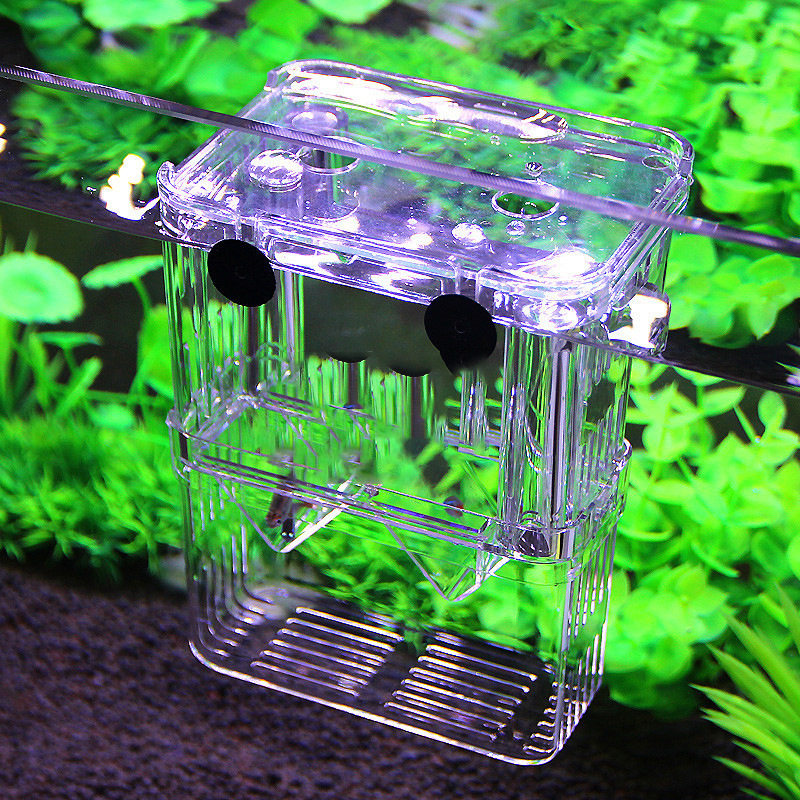 Fish Tank Isolation Box, Hatching Box, Guppy Breeding Box, Tropical Fish Fry Incubator, Large and Small Size Hatching Room