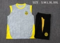 2526 vest dot light gray inkjet