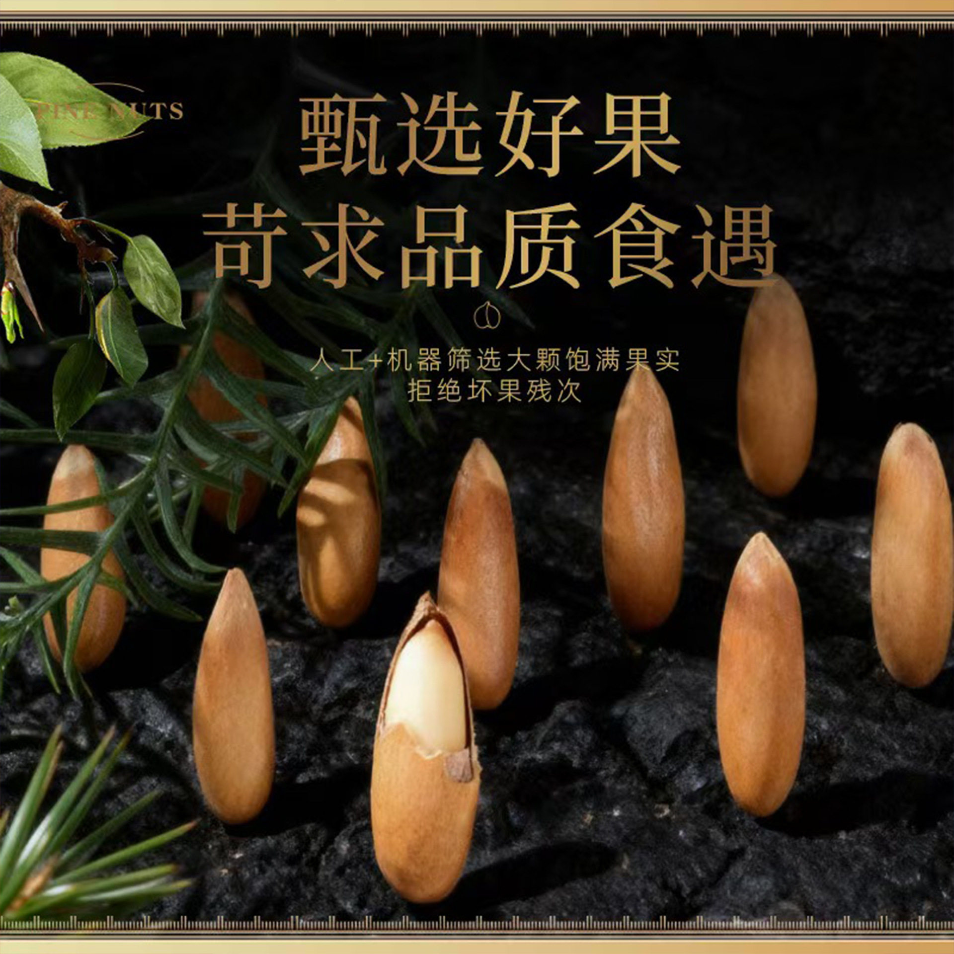 Boxed Pine Nuts, Afghan Pine Nuts, Large Particles, Individually Packaged, Oem Private Label, Dropshipping Nut Snacks