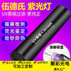 Wholesale Mini Cat Tinea UV Rechargeable Wood's Lamp Detector Pen Multifunctional Purple Flashlight