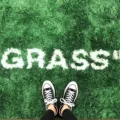 wetgrass
