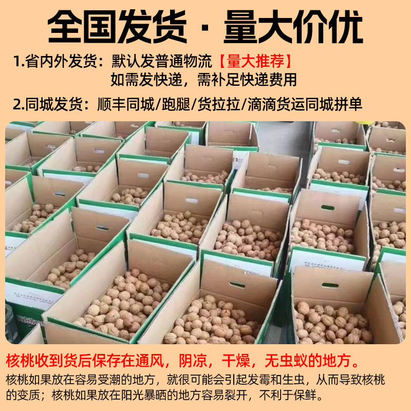 Walnut Wholesale Street Stall Exhibition Nut Snacks Snacks Souvenirs Dry Goods Food Xinjiang 185 Paper-Skinned Walnuts