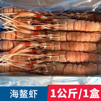 Wholesale New Zealand Crayfish Deep Sea Crayfish Crayfish Fresh Sweet Shrimp Seafood Aquatic Japanese Food Sashimi 1kg