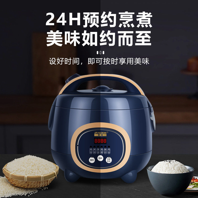 Electric rice cooker household 2-4 people factory wholesale small mini intelligent multi-functional porridge electric rice cooker a generation of hair