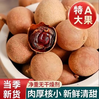 Dried Longan 14A Special Large Fruit 2025 New Arrival Fujian Longan Dry Goods Longan Meat Putian Shelled Longan