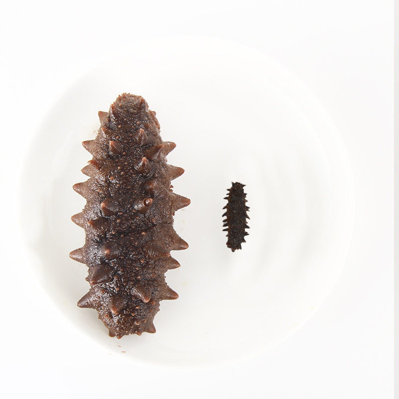 [National Standard Sea Cucumber] Dalian Pure Light Dried Special Grade Sea Cucumber Dried Goods Wholesale Nourishing Liao Cucumber Super Physical Supply