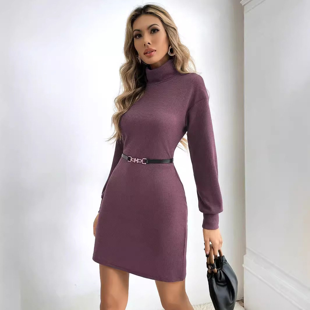 Fashionable Womens Sweater Dress Slim Fit High Neck Long Sleeve Mid Length Casual Wear for Fall Winter Wholesale