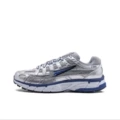 Bv1021-001 silver blue