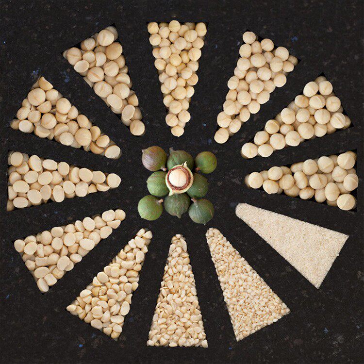 Australian Macadamia Nuts Original Flavor Nuts Dried Fruit Baking Raw Material 200g Bagged Source Wholesale Direct Sale Crispy