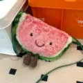 Watermelon satchel