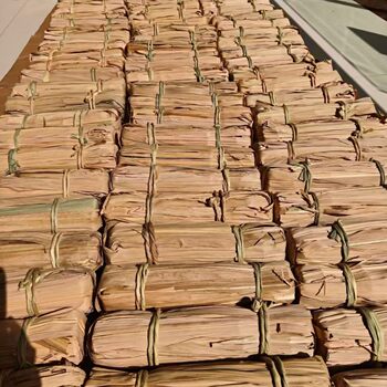 Authentic Baiba Tangye Leaves with Brown Sugar, Handmade, Natural, No Additives, Specially for Postpartum Period