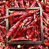 Dried Chili Peppers from Saiyitang, a New Generation of Spicy and Fragrant Chili Peppers, Are Sourced from Manufacturers and Wholesale Dried Chili Peppers Are Supplied in Bulk