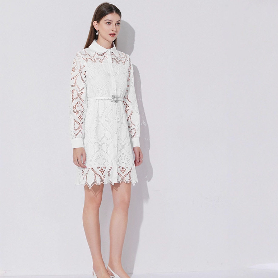 French Style Elegant Embroidered Lace A Line Dress Hollow Out Waist Defined Single Breasted Perfect for Spring Summer