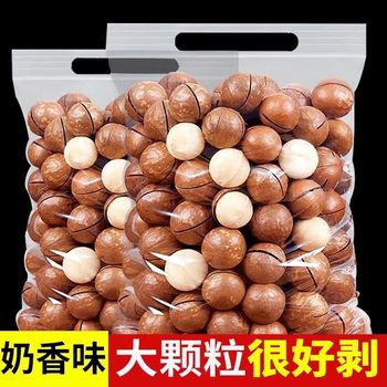 Macadamia Nuts with Shells, Large Creamy Nuts, Snacks with Opener, New Crispy Roasted Seeds