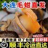 Dalian Seafood, Fresh Water Products, Wild Clams, Hairy Clams, Live Abalone, Edible Agricultural Products, Frozen Aquatic Products