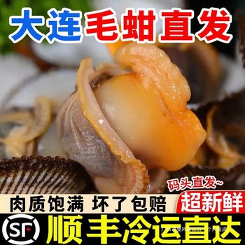Dalian Seafood, Fresh Water Products, Wild Clams, Hairy Clams, Live Abalone, Edible Agricultural Products, Frozen Aquatic Products