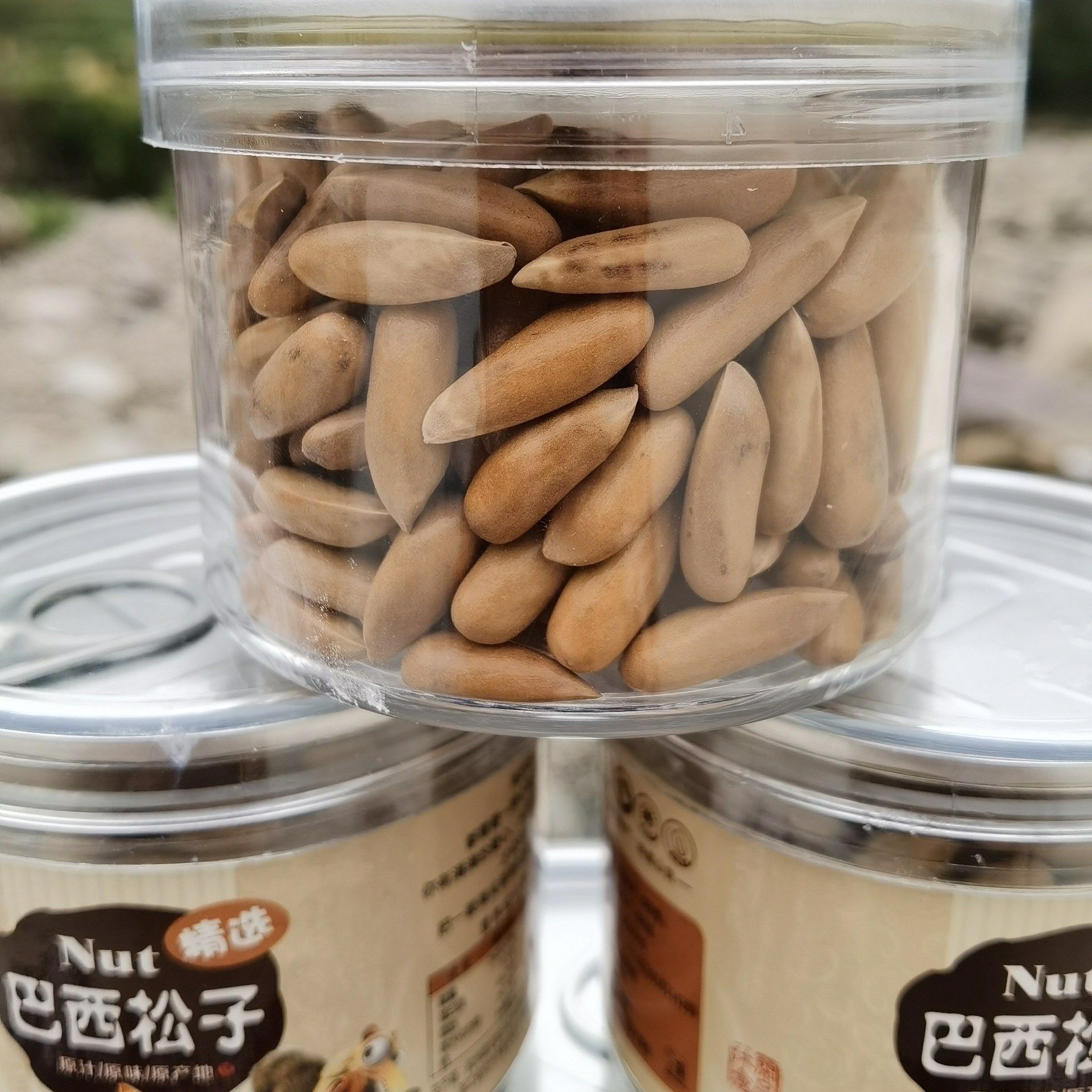 2025 New Arrival Casual Snacks Pine Nuts Gross Weight 250g Canned Large-Sized Brazilian Pine Nuts Wholesale Dropshipping
