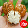 2025 Fresh Wet Walnuts, Peeled Green Walnuts, Tender Raw Walnuts, Sichuan Non-Thin-Skinned Black Walnuts, Suitable for Pregnant Women