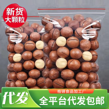 Creamy Macadamia Nuts with Thin Skin and Large Particles in Bags, New Year's Nuts and Snacks, Summer Fruit, Walnuts and Milky Fragrance