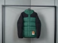 Himalayan generation green