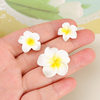 Plumerian flower diy resin flower accessories handmade material diy children's hair rope hair accessories material diy jewelry accessories