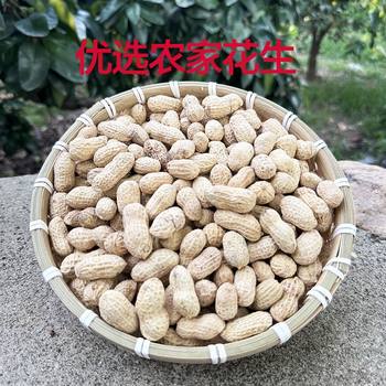 2500g Longyan Peanuts, Garlic, Five-Spice Milk Flavor, Shelled Peanuts, Small Package Peanuts, Small Package Snacks