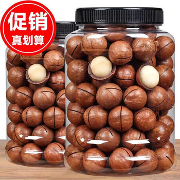 2025 Macadamia Nut Cream Flavor New Arrival Nuts and Dried Fruits Milky Large Grain Casual Roasted Seeds Snacks