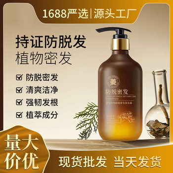 Poly Rong Plant Dense Hair Anti-off Shampoo Side Platycladus Leaves Improve Hair Loss and Moisturize Hair Root Ginger Shampoo Wholesale