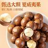 Macadamia Nut Cream-Flavored Nut Snacks, Dried Fruit Crispy Large Capsules, Shelled Macadamia Nuts