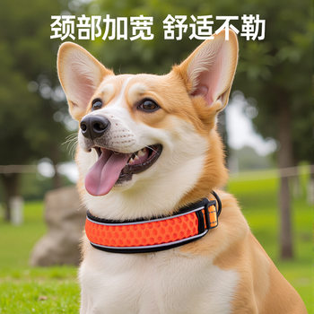 Pet Collar, Neck Collar, Dog Walking Rope, Dog Leash, Collar, Pet Dog Collar, Pet Supplies, Wholesale in Stock