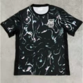 2425 south korea away game