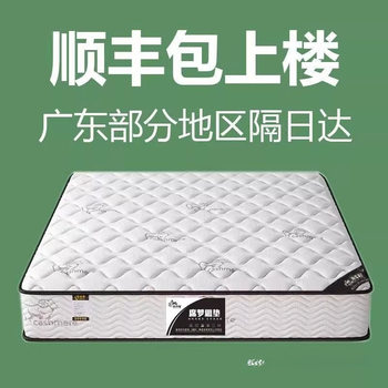 Hong Kong Rental Housing Economical Household Mattress, Noise-Reducing Special Soft Mattress, Coconut Palm Spring Latex Soft and Hard Thick Mattress