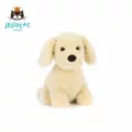 Golden retriever puppy