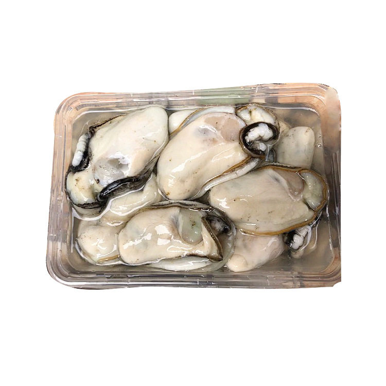 Extra Large Oyster Meat Wholesale Shandong Rushan Shelled Fresh Peeled Extra Large Oyster Meat Oyster Large Oyster Flower