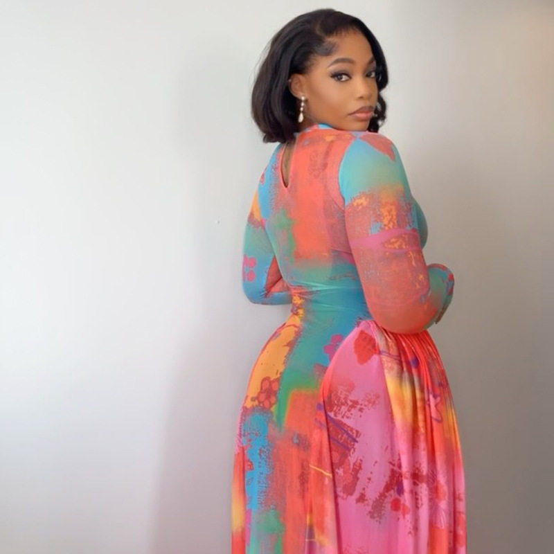 Vintage Floral Print A Line Dress Pleated Waist Defined Long Sleeve Round Neck Casual Wear Wholesale Available