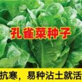 seller product image